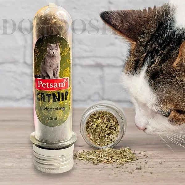 گیاه کت نیپ petsam - Image 2