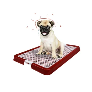 سینی توالت سگ دنیل لارج