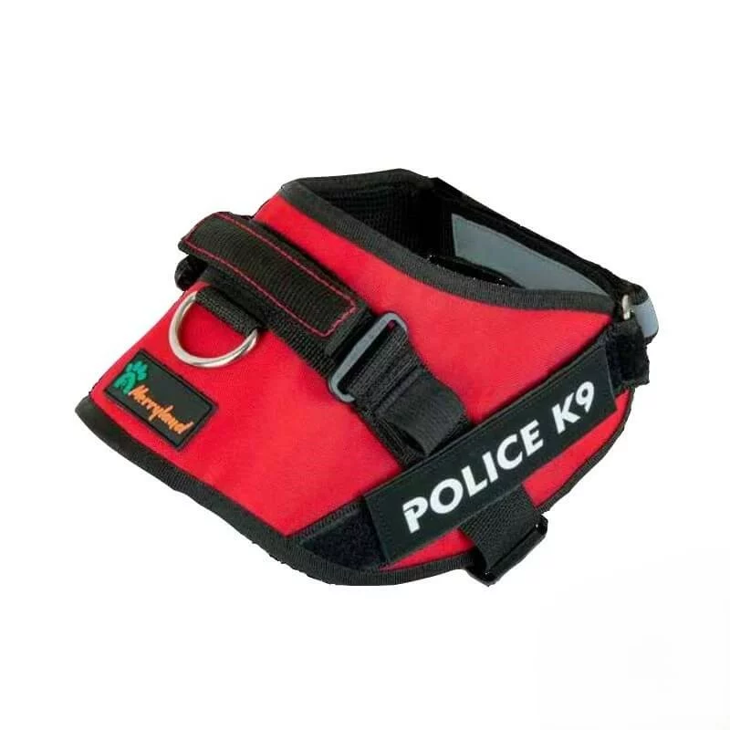 پلیسی کی9 2.webp