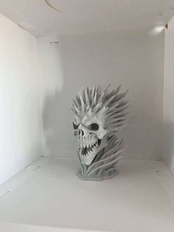 مجسمه دکوراتیو جمجمه Infinite skull - Image 4