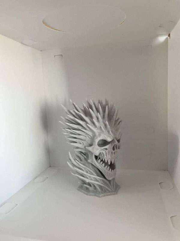 مجسمه دکوراتیو جمجمه Infinite skull - Image 5