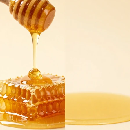 5ac76a03 f6e7 4765 9dda 39b38dc6448d