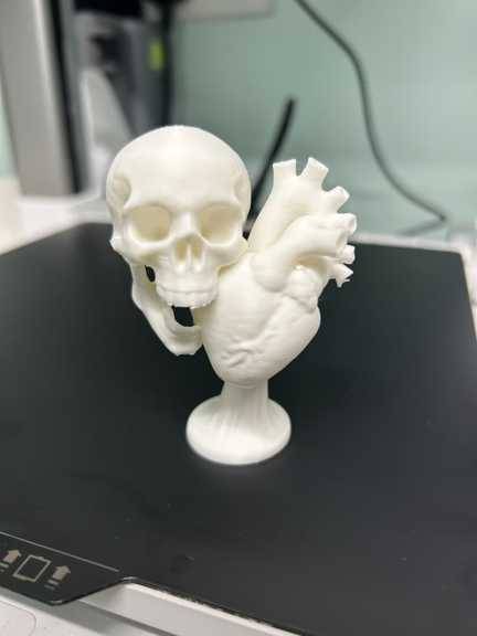 مجسمه دکوراتیو جمجمه با طرح قلب Skull and Heart - Image 2